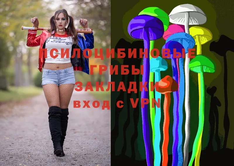 Галлюциногенные грибы Magic Shrooms  Болхов 